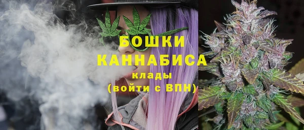 стафф Белокуриха