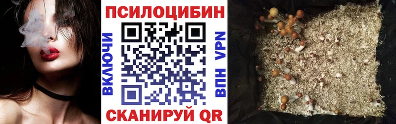 Псилоцибиновые грибы Psilocybine cubensis  закладки  Верещагино 